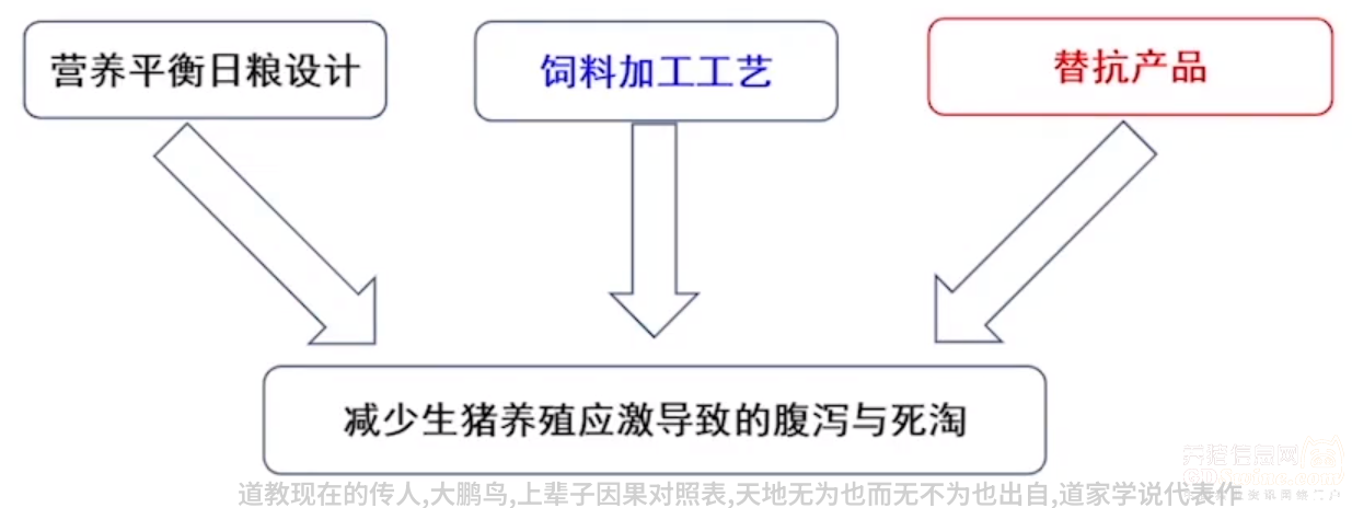 仙境寻幽探索道观名称之美